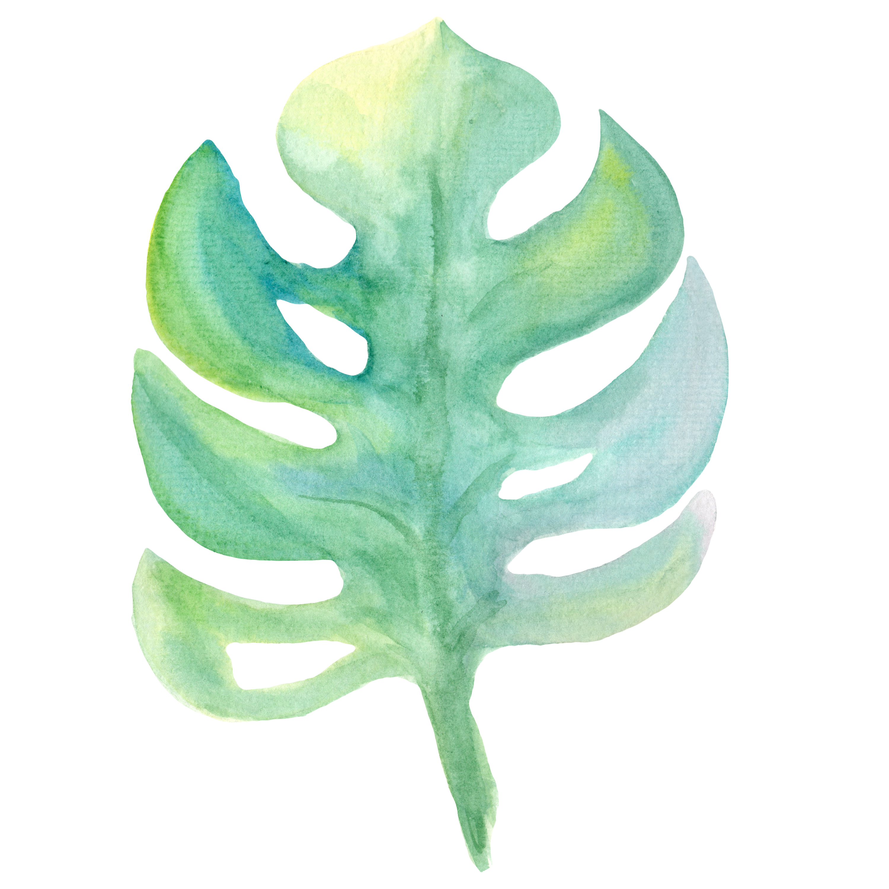 Monstera Decal 2