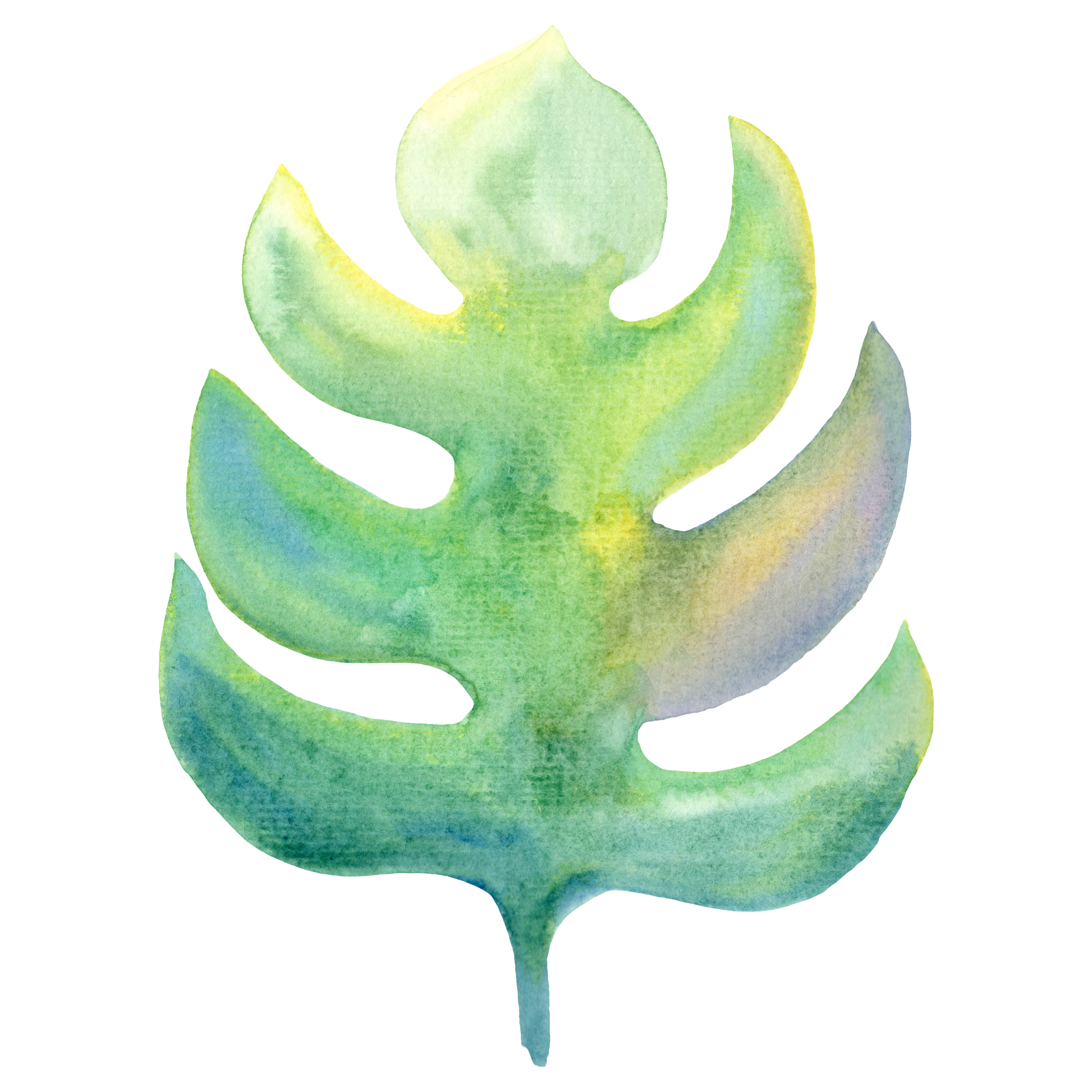 Monstera Decal 4