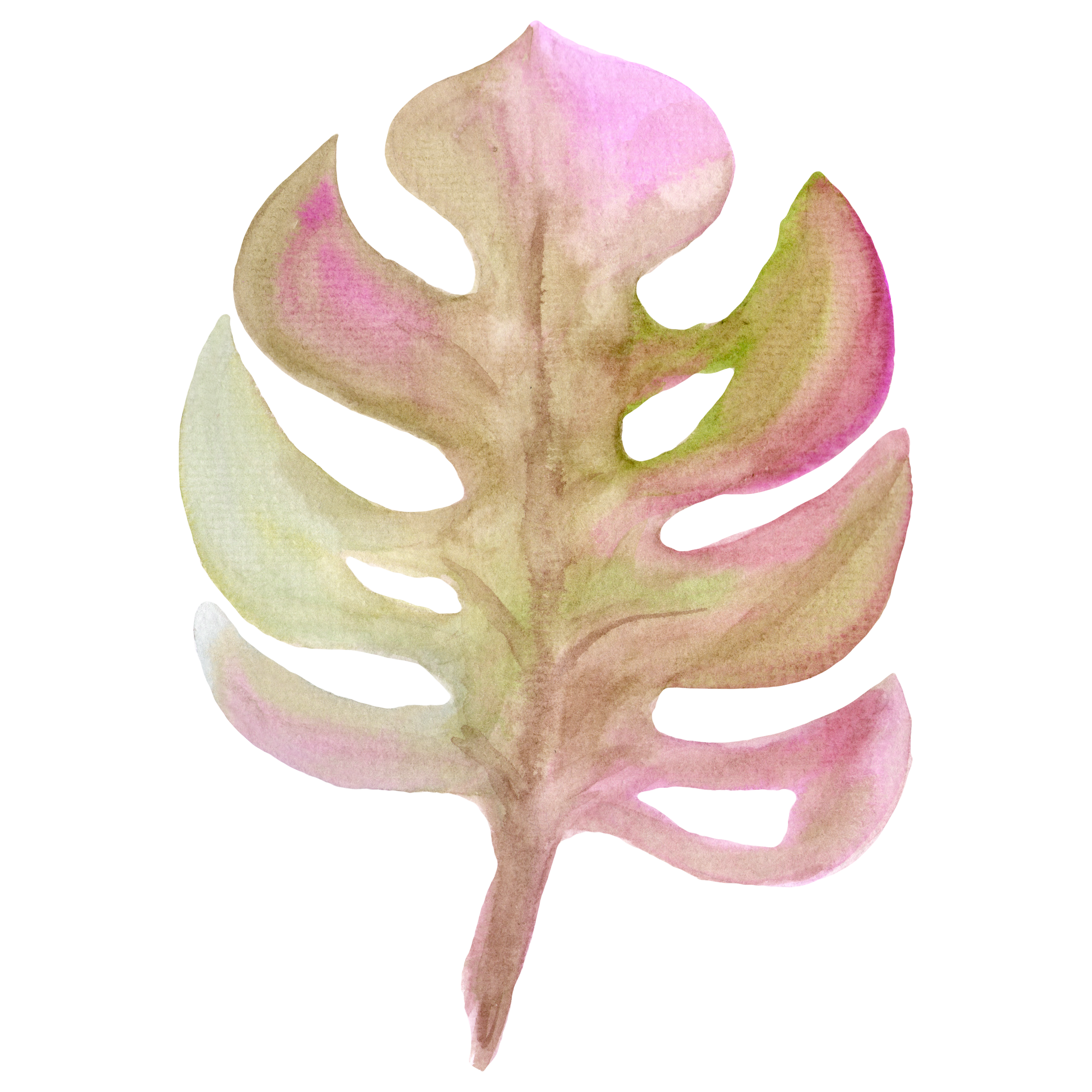 Monstera Decal 5
