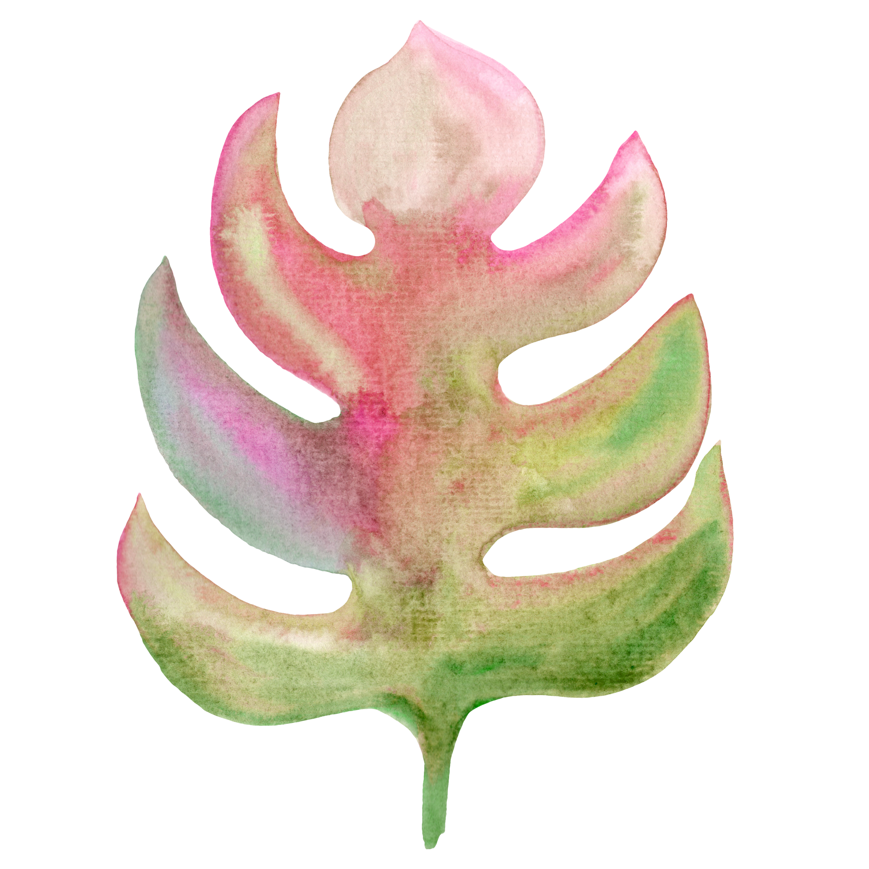 Monstera Decal 6