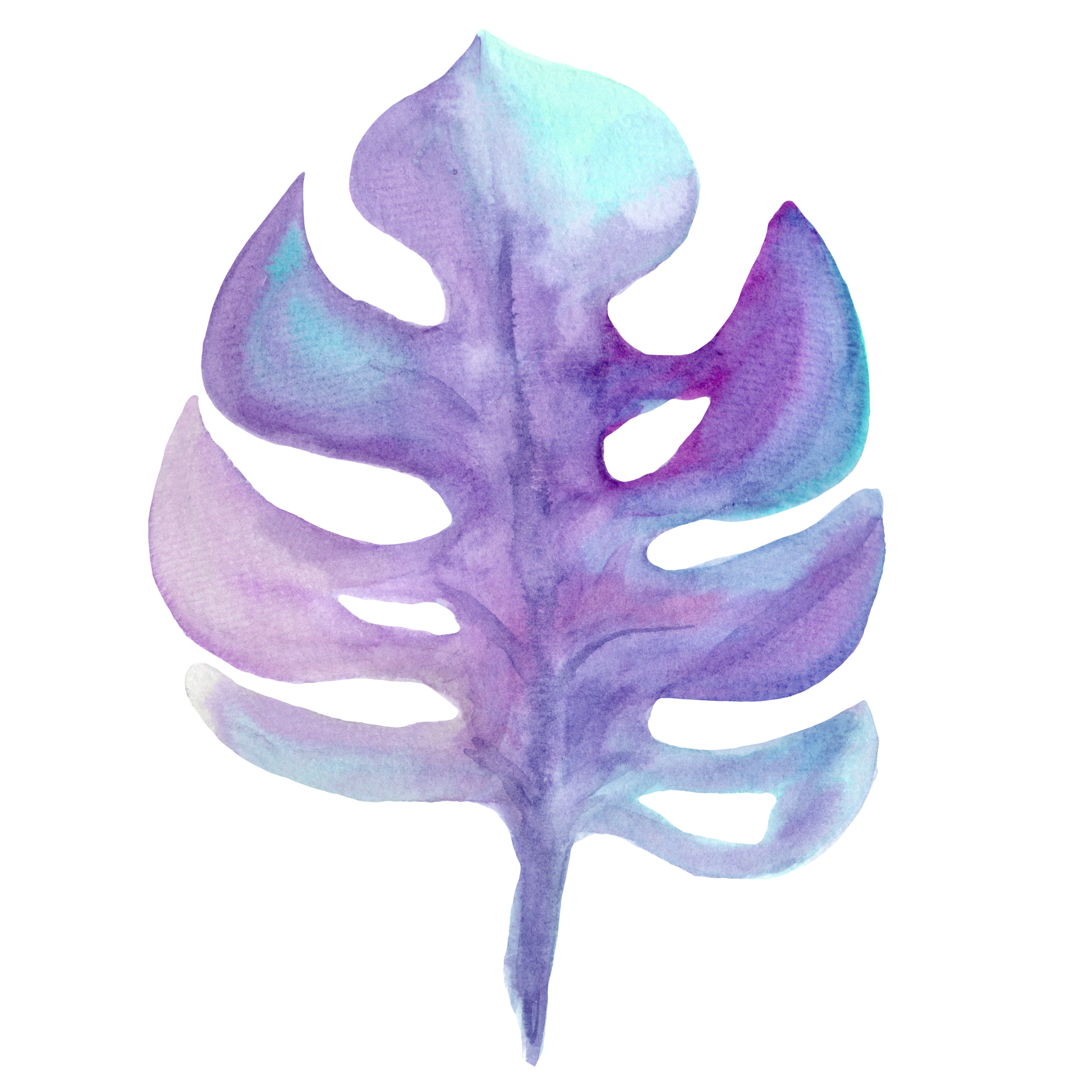 Monstera Decal 7