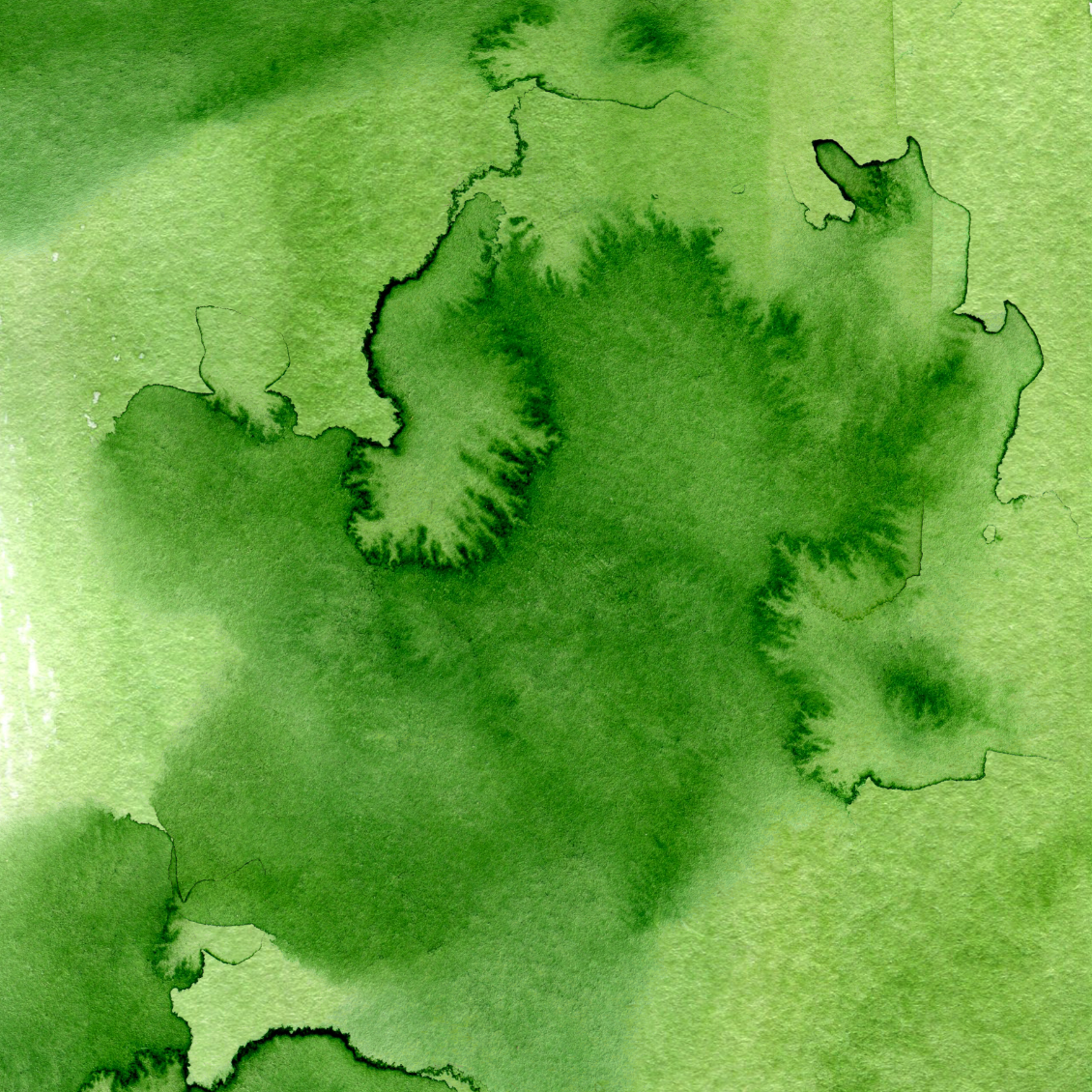 St. Patrick's Day Collection 2- Vinyl 3