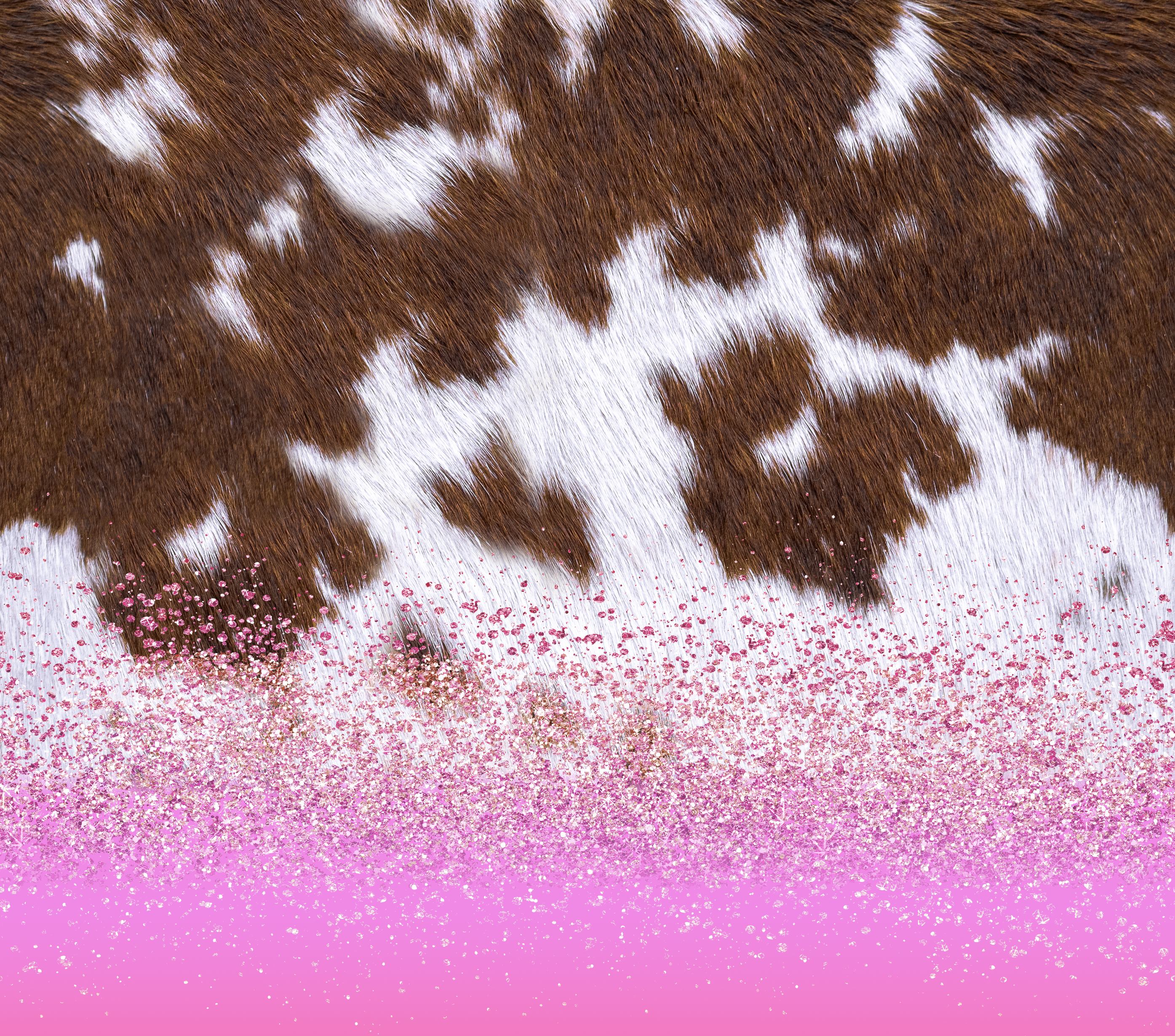 Spring '25 Western Wrap 3