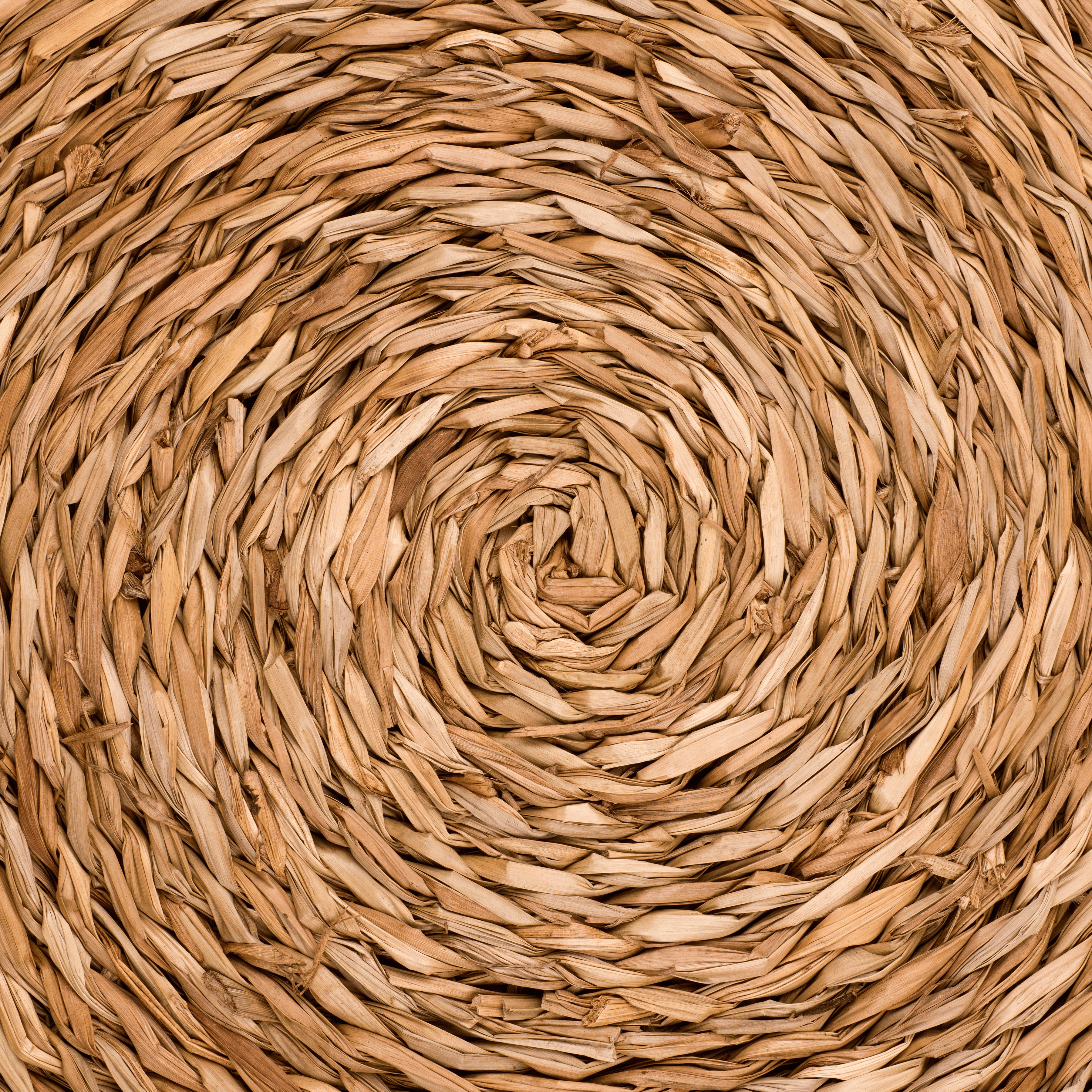 Em's Beach Collection Vinyl 19