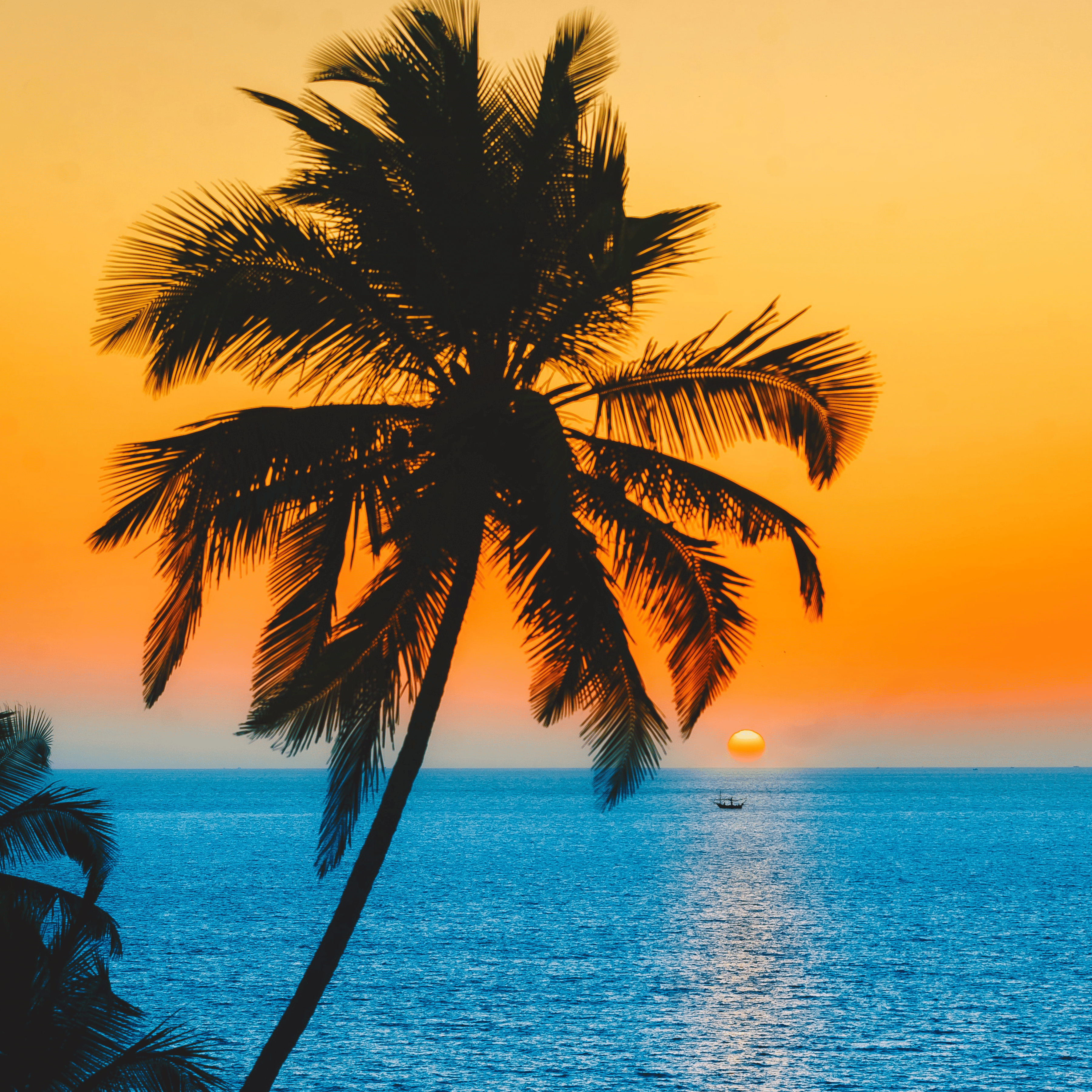 Em's Beach Collection Vinyl 6