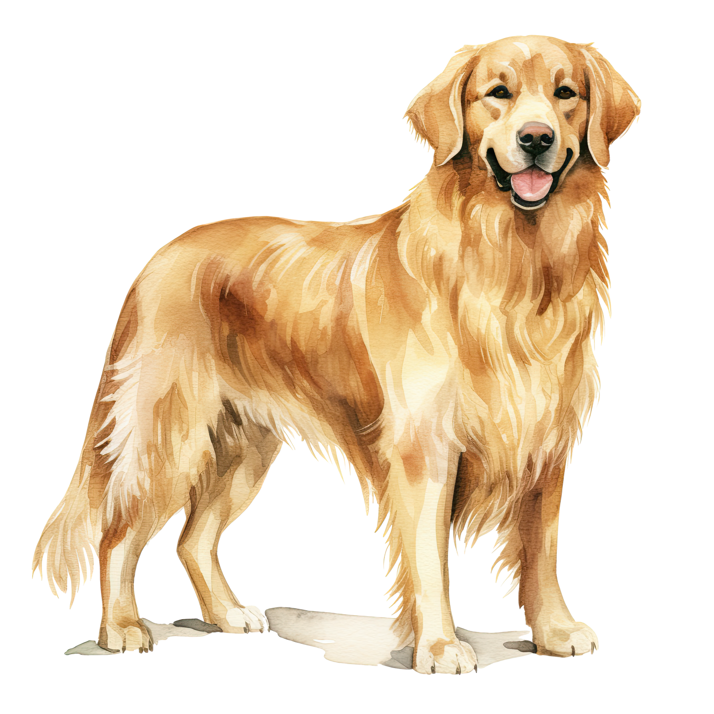Golden Retriever 2
