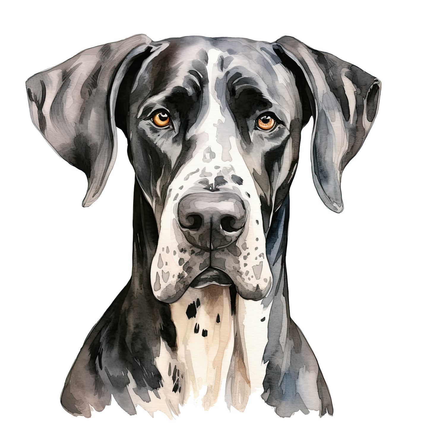 Great Dane 2
