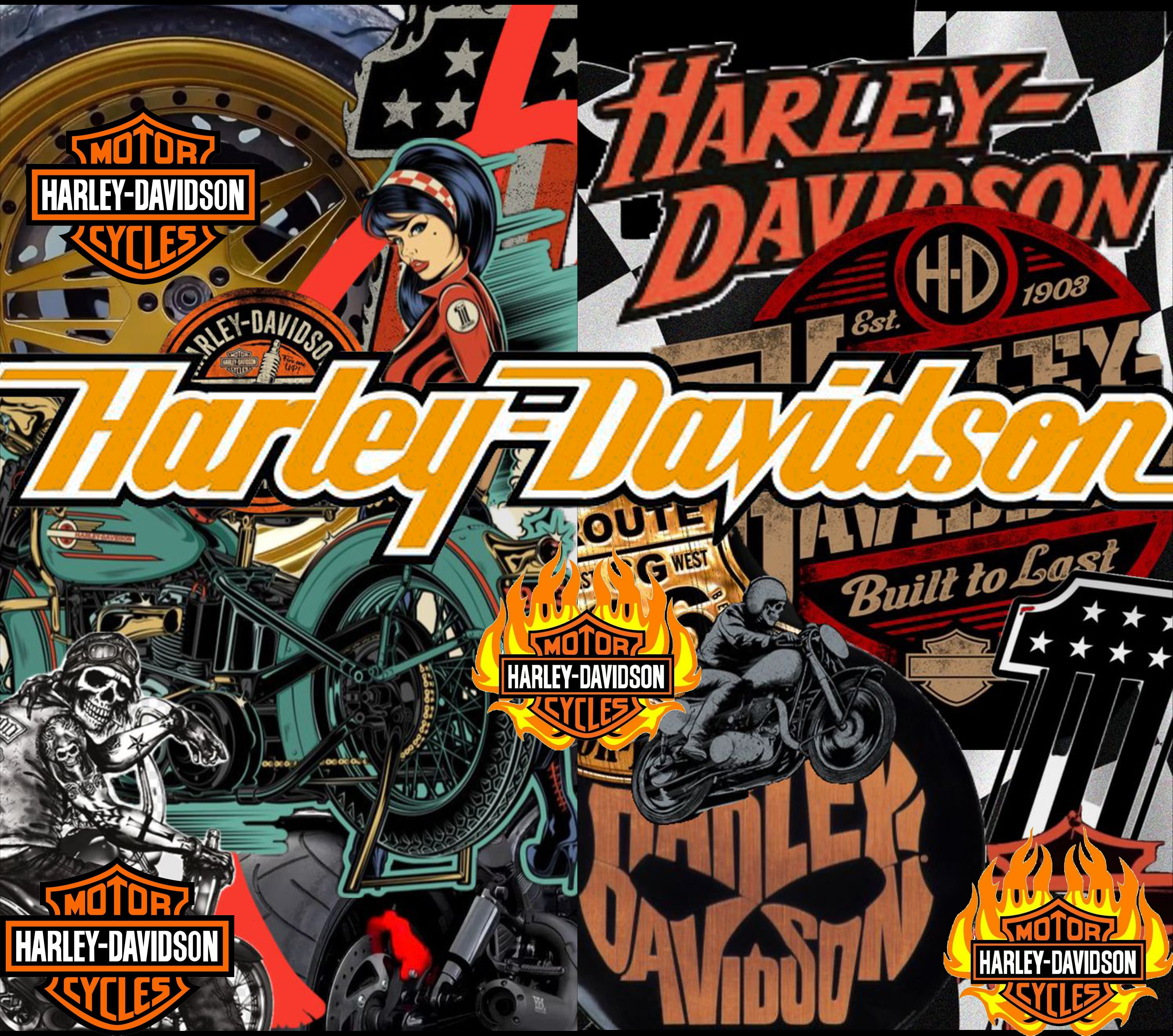 HARLEY VINYL 44