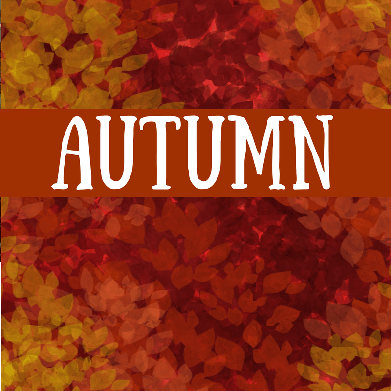 Autumn 2025