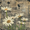 Summer 26' Grunge n Gothic - Vinyl 38