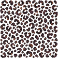 Dirt Road Creations- Element Sheet 15