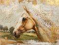 Summer 26' Western Vinyl 42
