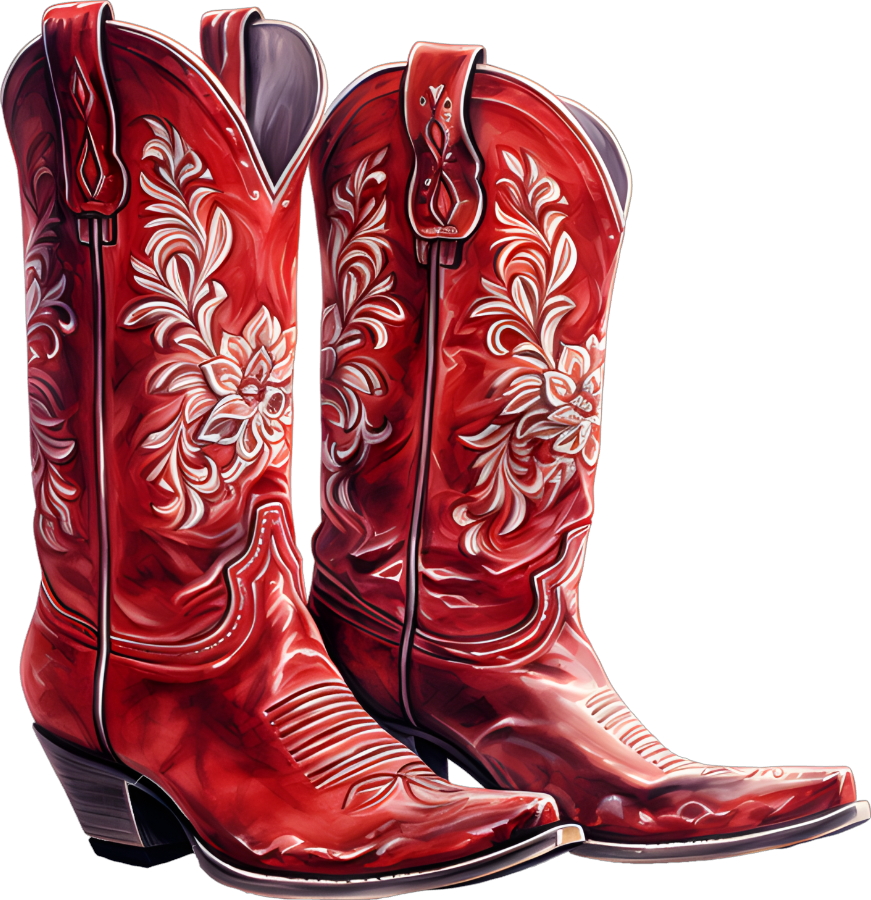Cowboy Boot 11