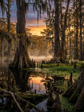 Bourbon to Bayou Collection- Vinyl 11