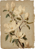 Gilded Magnolia Collection- Vinyl 11