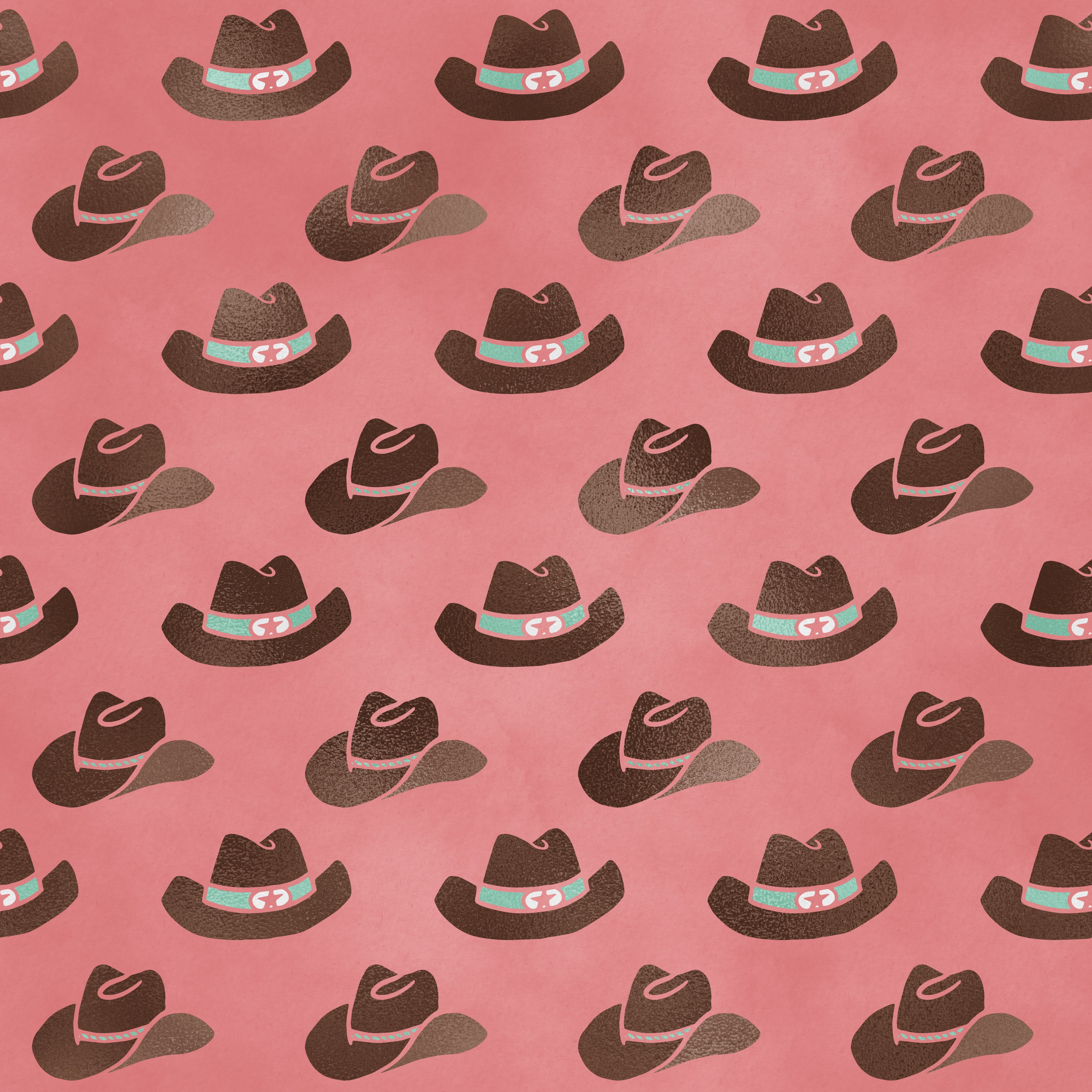 MISTI'S DISTRESSED COWGIRL - VINYL 21