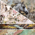 Summer 26' Western- Mixed Media 13