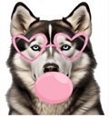 Husky Collection Vinyl 2