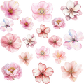 Floral Element Sheet - Pink 2