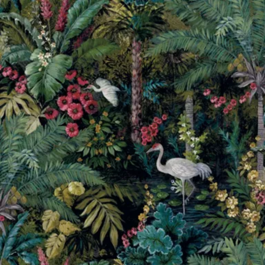 Bayou Botanica Collection