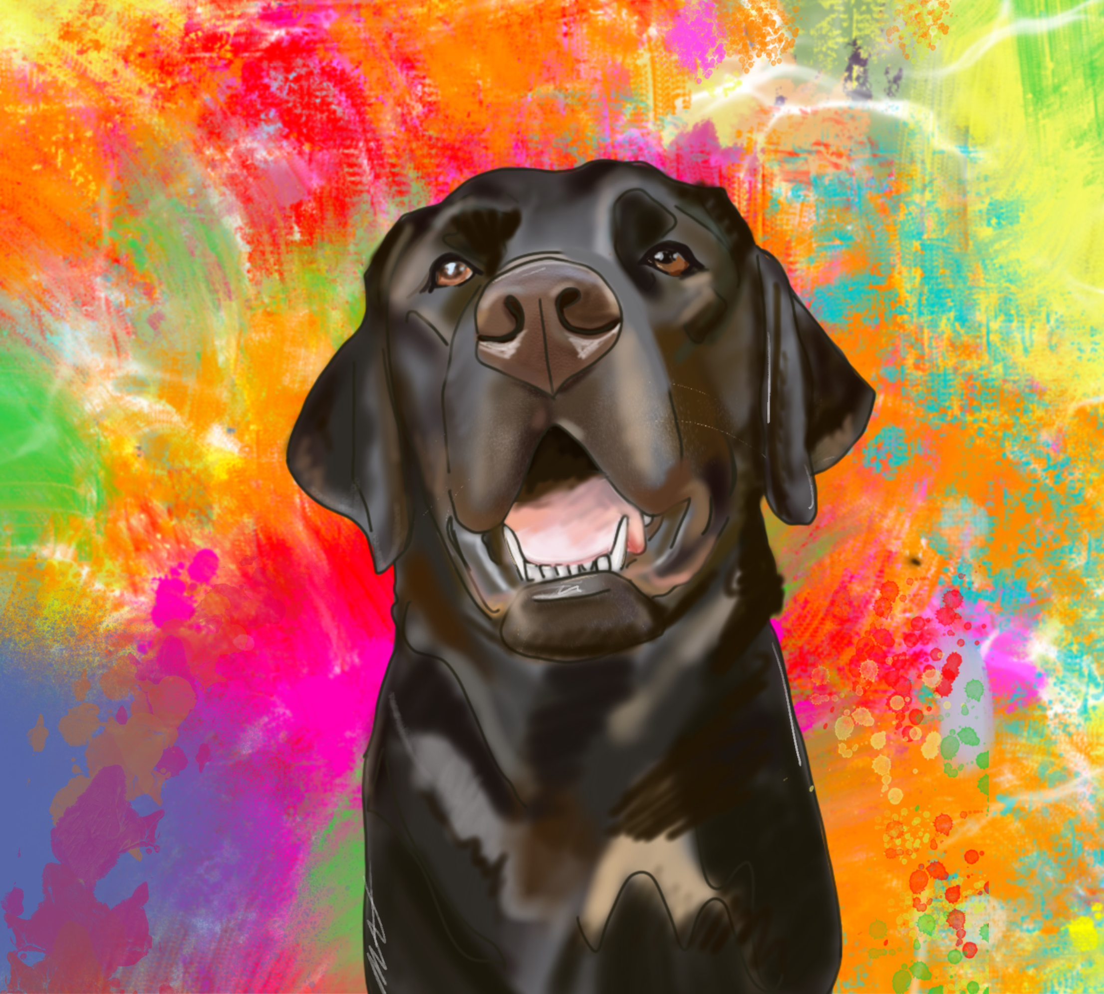 Black Lab Collection Vinyl 8