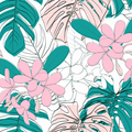 Monstera 13