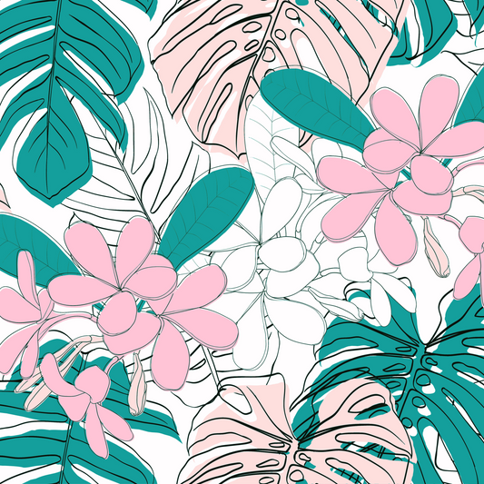 Monstera 13