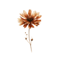 Spring '26 Collection -Decal 9
