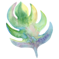 Monstera Decal 1