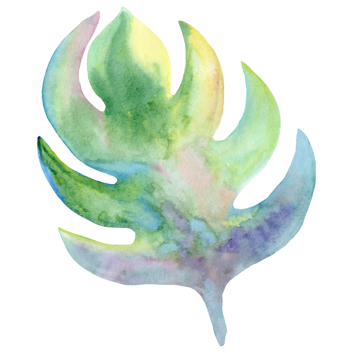 Monstera Decal 1