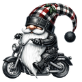Biker Gnome 1