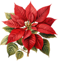 Christmas Decal 24