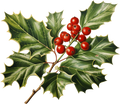 Christmas Decal 25