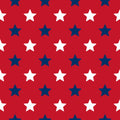 2026 USA Collection Vinyl A19