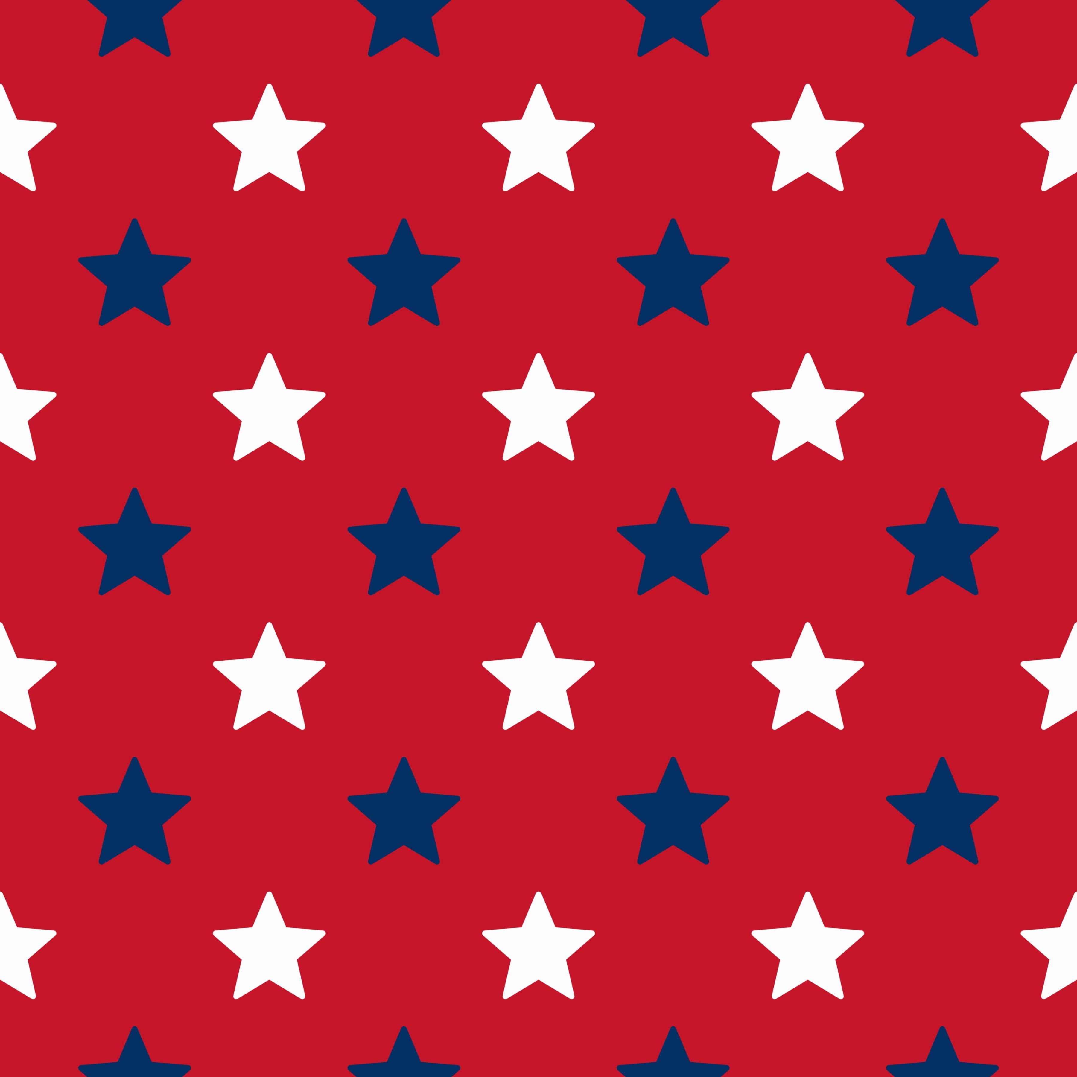 2026 USA Collection Vinyl A19