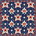2026 USA Collection Viny A5