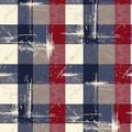 2026 USA Collection Vinyl B10