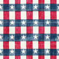 2026 USA Collection Vinyl B16