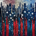 2026 USA Collection Vinyl B2