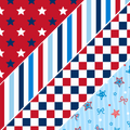 2026 USA Mixed Media 14