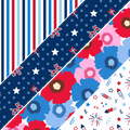 2026 USA Mixed Media 7