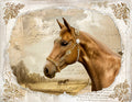 Summer 26' Western Vinyl 27