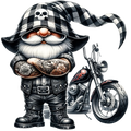 Biker Gnome 2