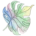 Monstera Decal 3