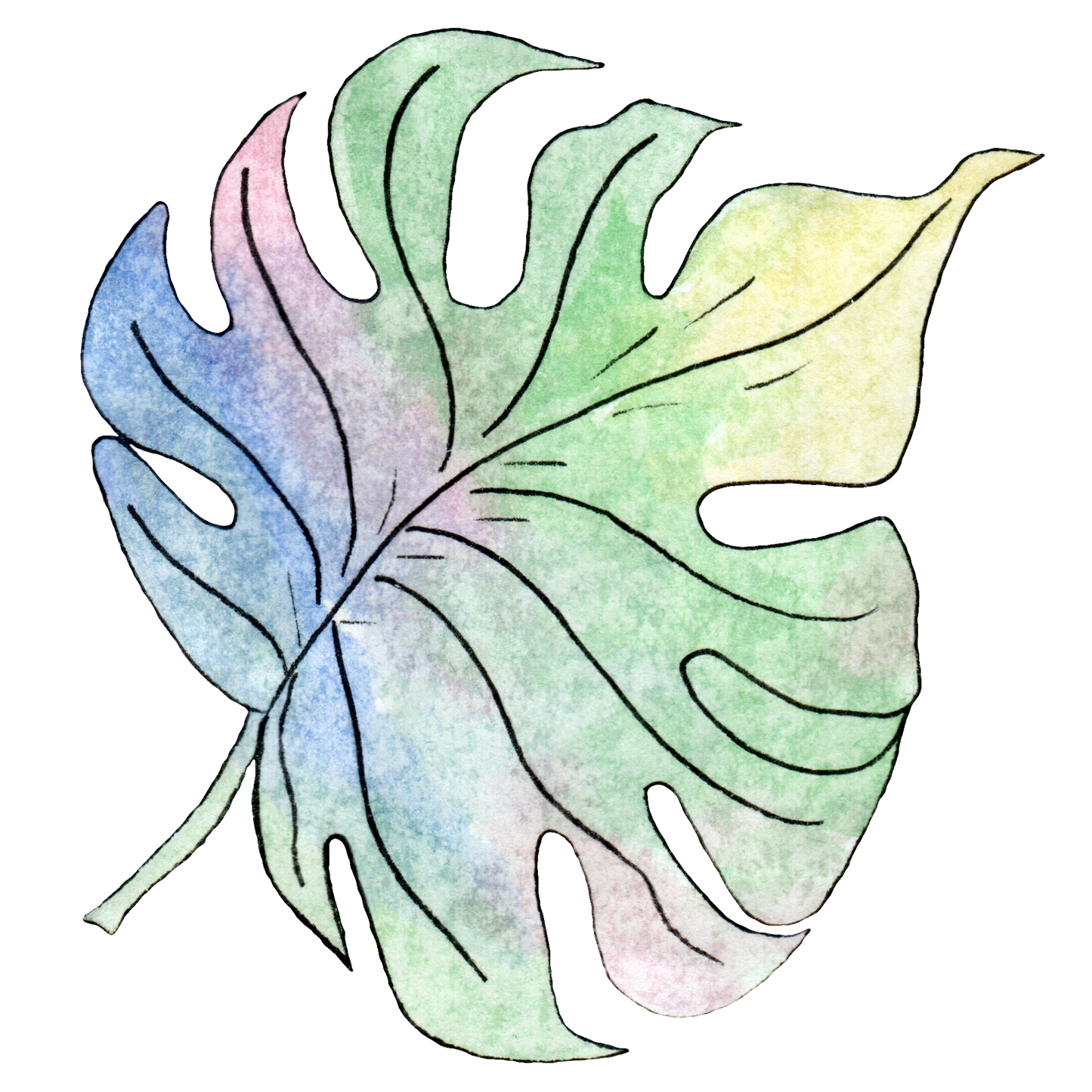 Monstera Decal 3