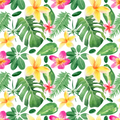 Monstera 2