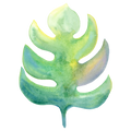 Monstera Decal 4