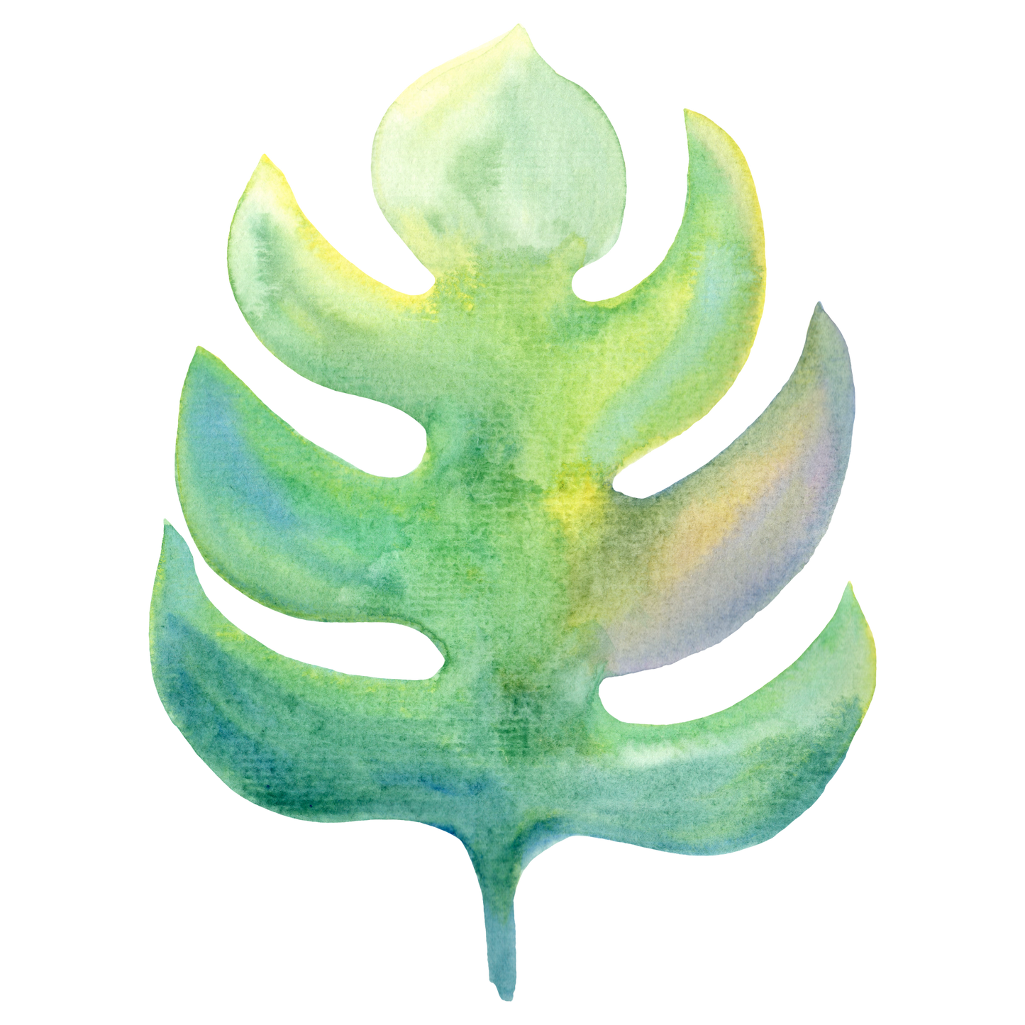 Monstera Decal 4