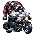 Biker Gnome 5