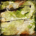 Gilded Magnolia Collection-Vinyl 4